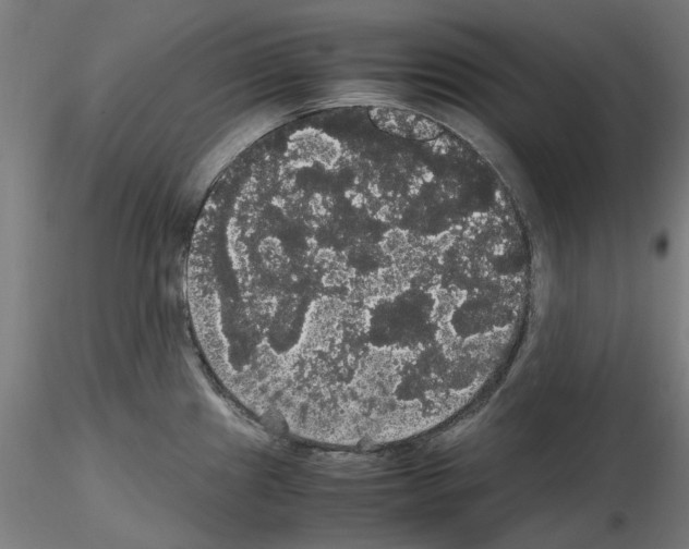 X0000116121241201001040944
