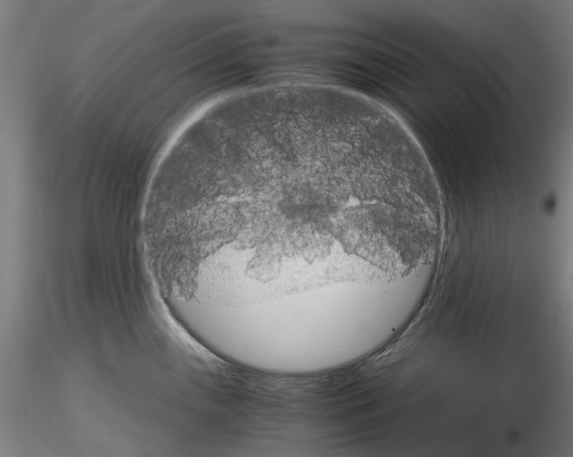 X0000116121243201001040944