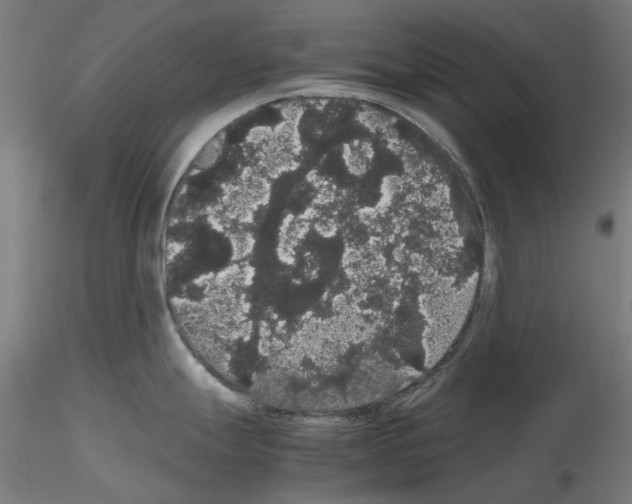 X0000116121247201001040944