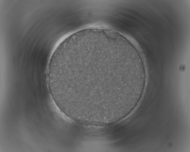 X0000116121248201001040944