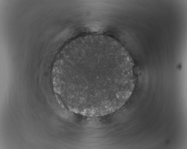 X0000116121249201001040943