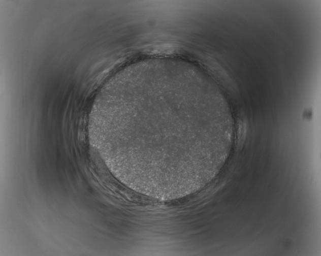 X0000116121250201001040943