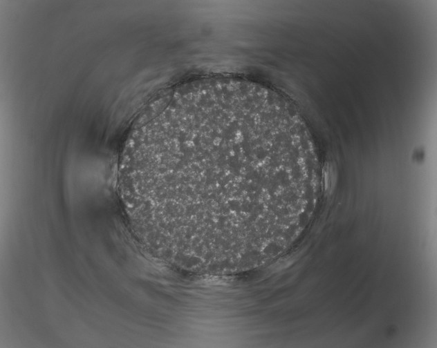 X0000116121251201001040943