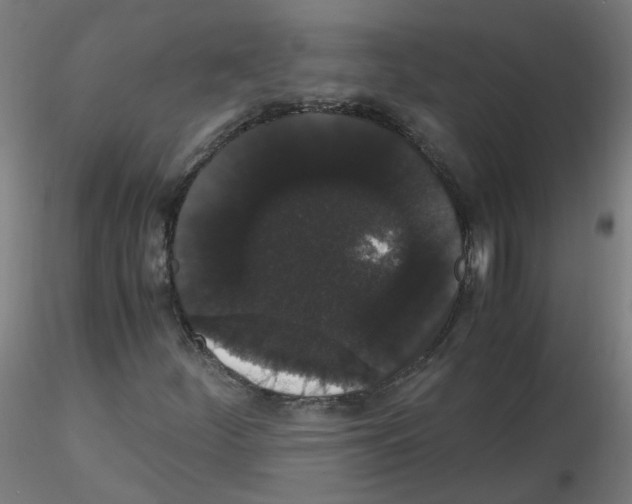 X0000116121252201001040943