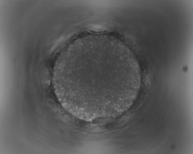 X0000116121253201001040943