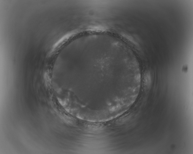 X0000116121254201001040943