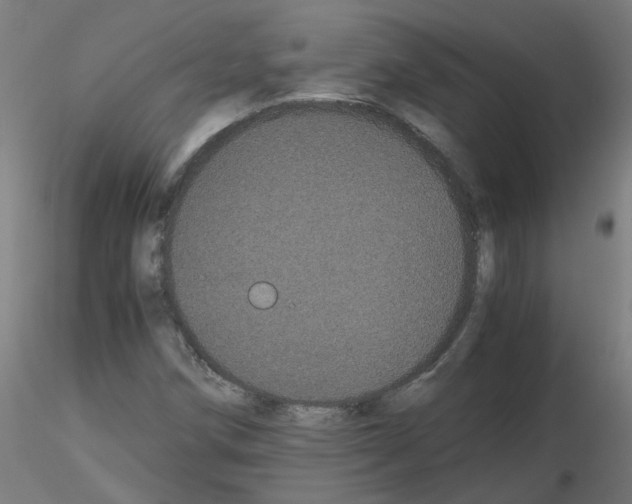 X0000116121258201001040943