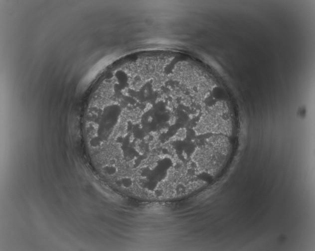 X0000116121259201001040943