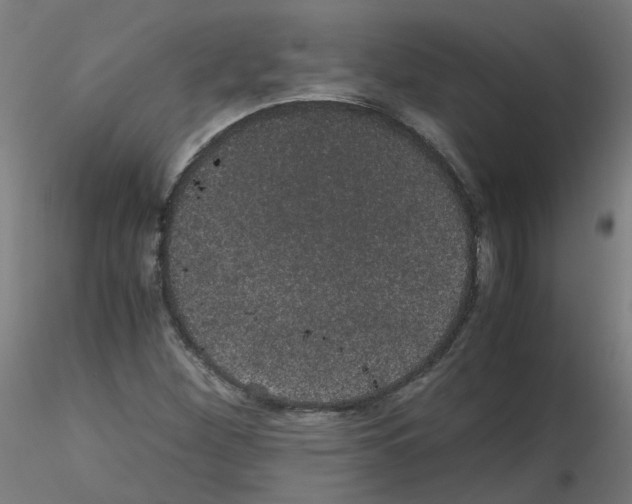 X0000116121260201001040943