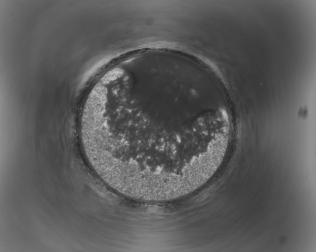X0000116121263201001040943