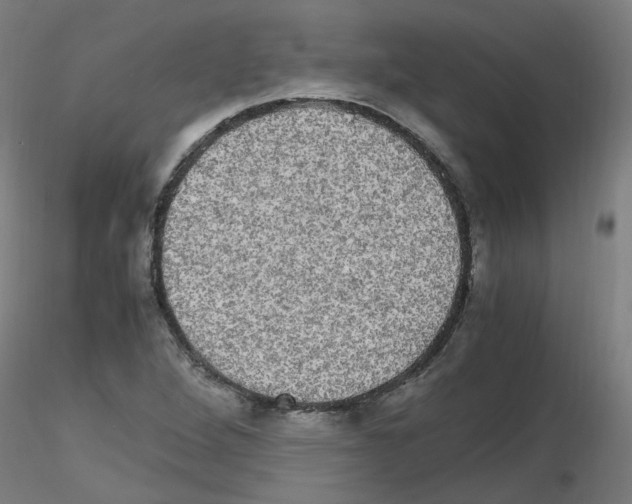 X0000116121264201001040943