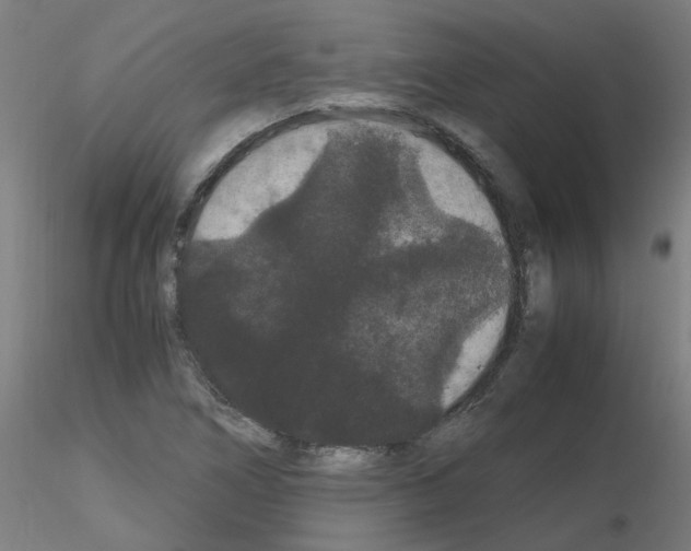X0000116121266201001040943