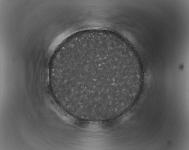 X0000116121267201001040943