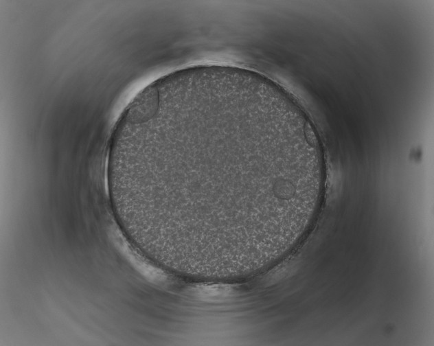 X0000116121272201001040943