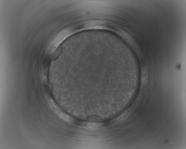 X0000116121273201001040943