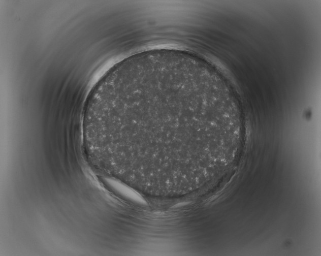 X0000116121274201001040943