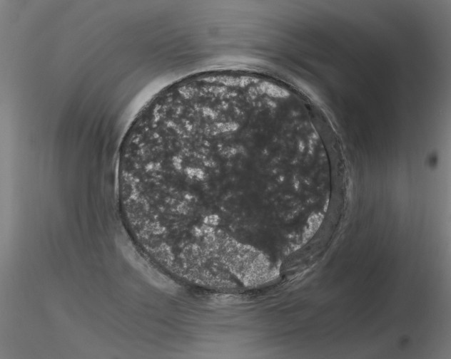 X0000116121275201001040943