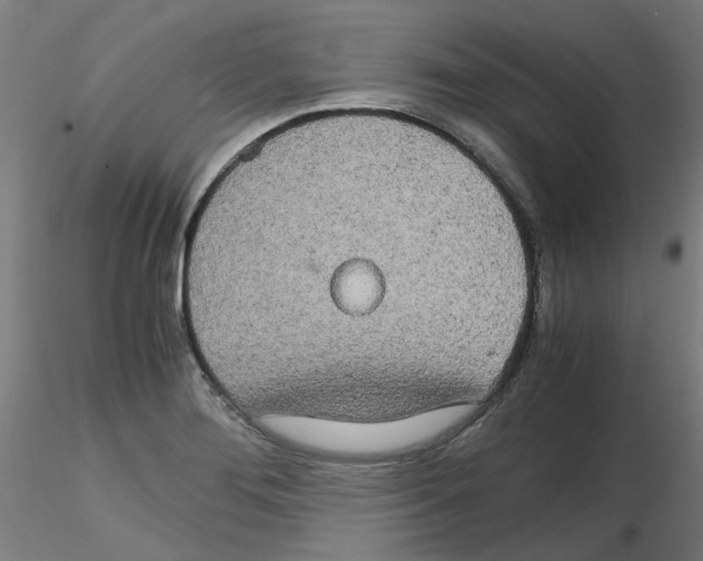 X0000116121276201001040943