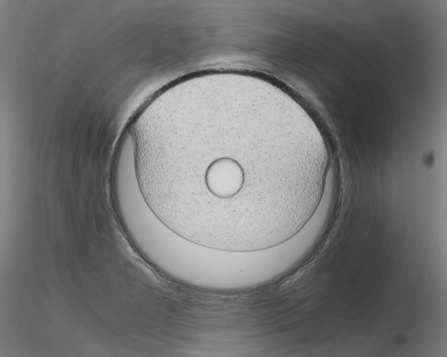 X0000116121277201001040943