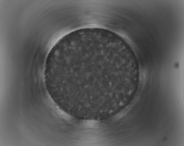 X0000116121278201001040943