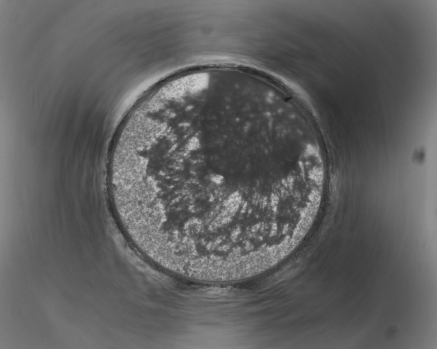 X0000116121279201001040943