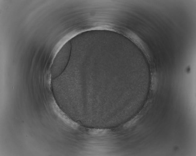 X0000116121284201001040942