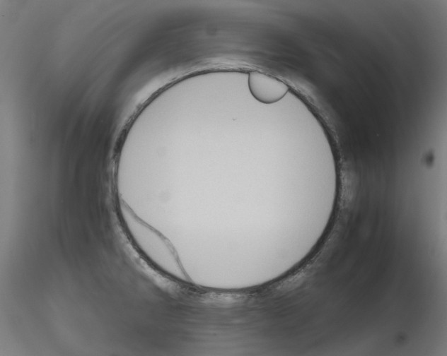 X0000116121286201001040942