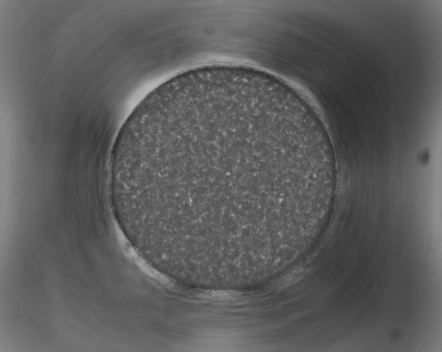 X0000116121287201001040942