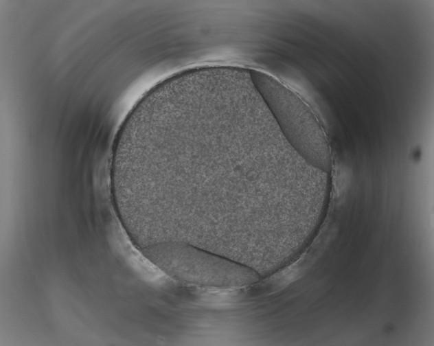 X0000116121288201001040942
