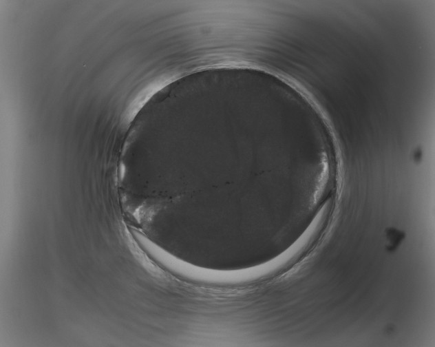 X0000116121289201001040942
