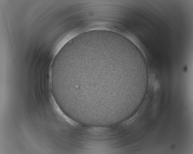 X0000116121290201001040942