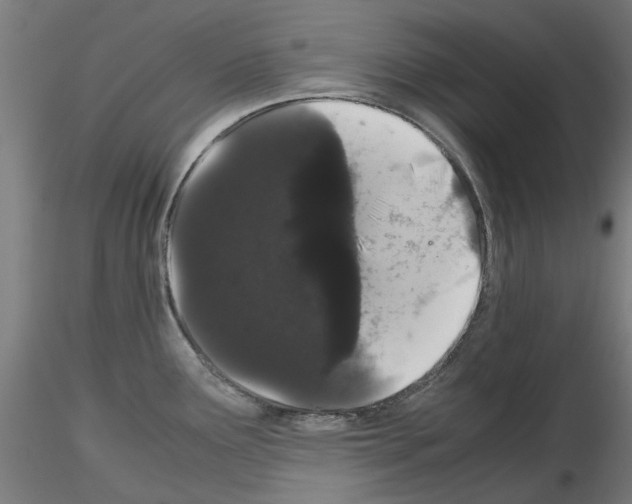 X0000116121291201001040942