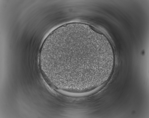 X0000116121292201001040942