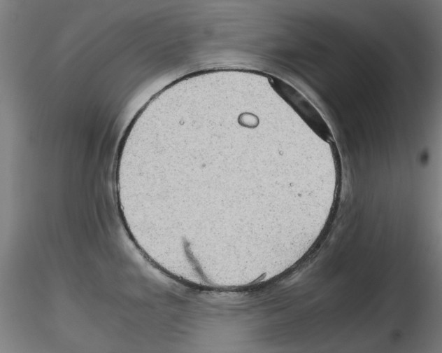 X0000116121293201001040942