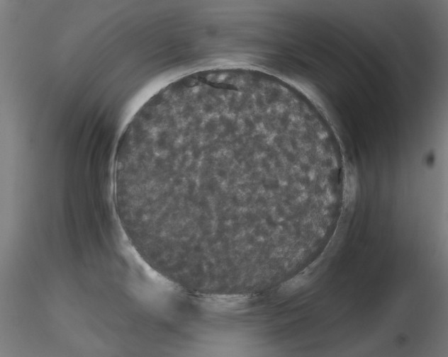 X0000116121294201001040942
