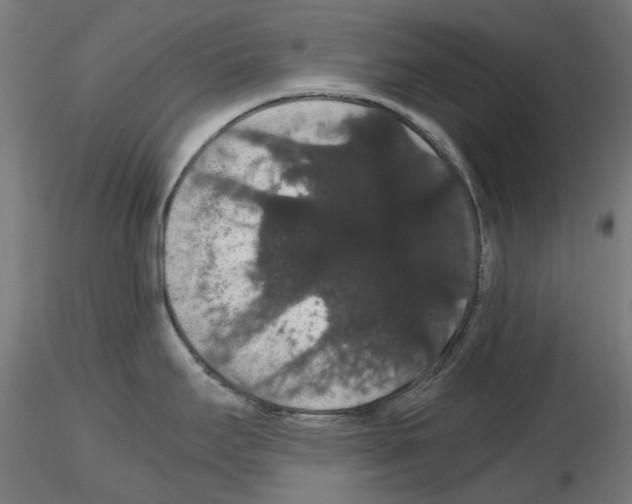 X0000116121295201001040942