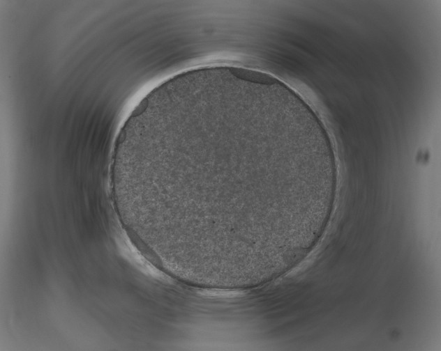 X0000116121296201001040942