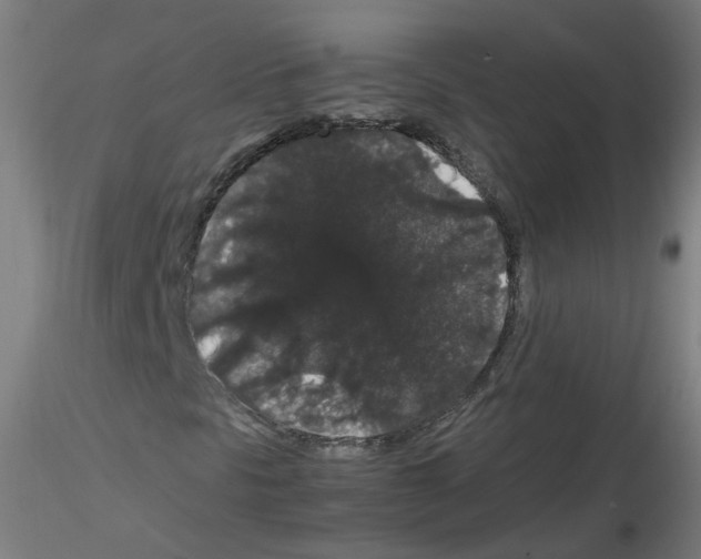 X0000116121297201001040942