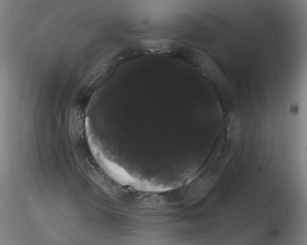X0000116121298201001040942