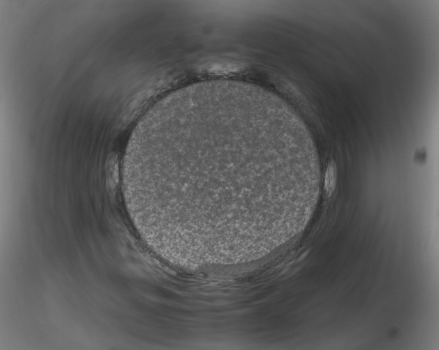 X0000116121299201001040942