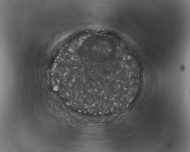 X0000116121302201001040942