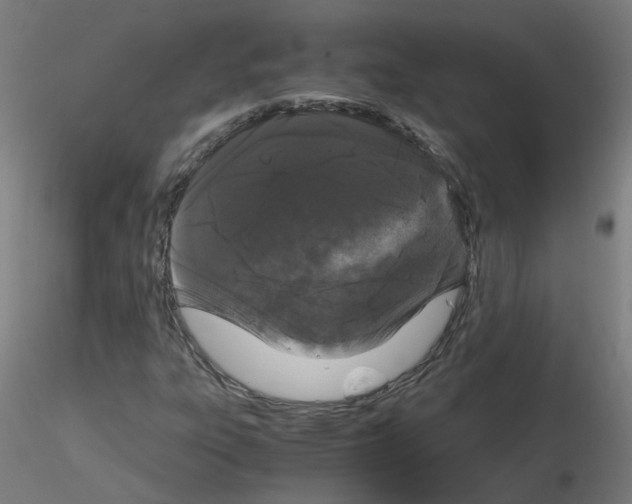 X0000116121303201001040942