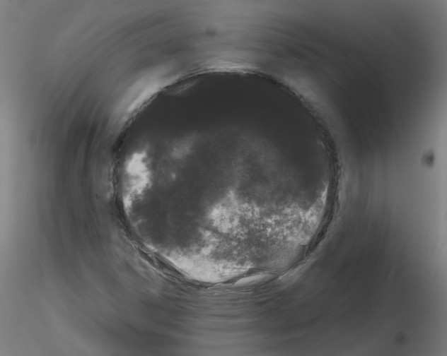 X0000116121306201001040942