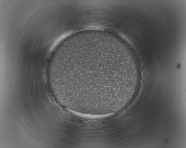 X0000116121307201001040942