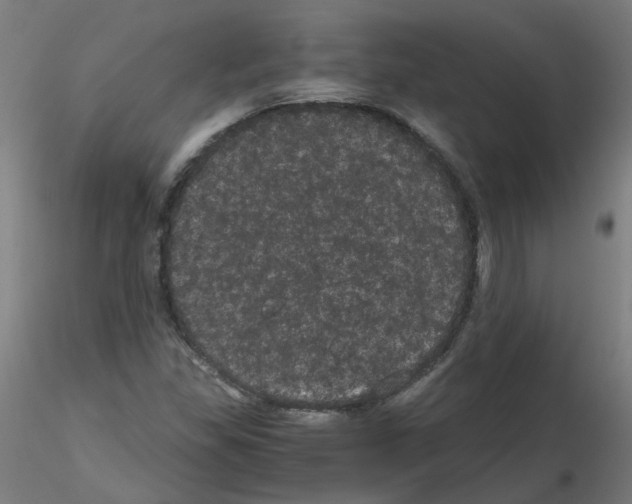 X0000116121309201001040942