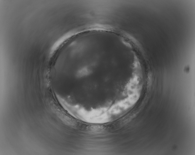 X0000116121310201001040942