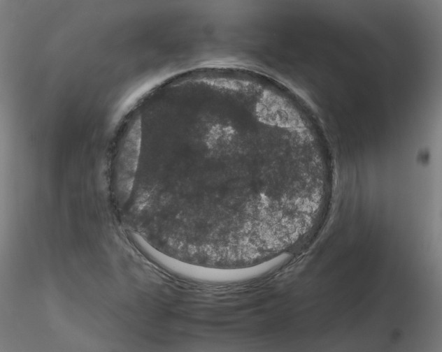 X0000116121311201001040942