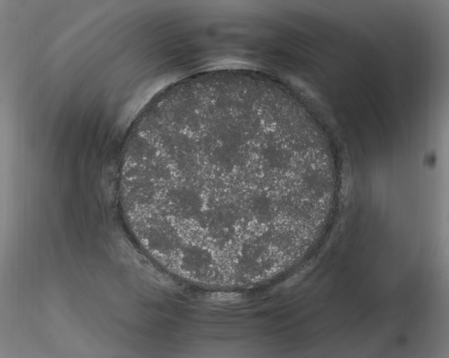X0000116121313201001040942