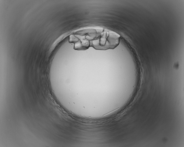 X0000116121314201001040942