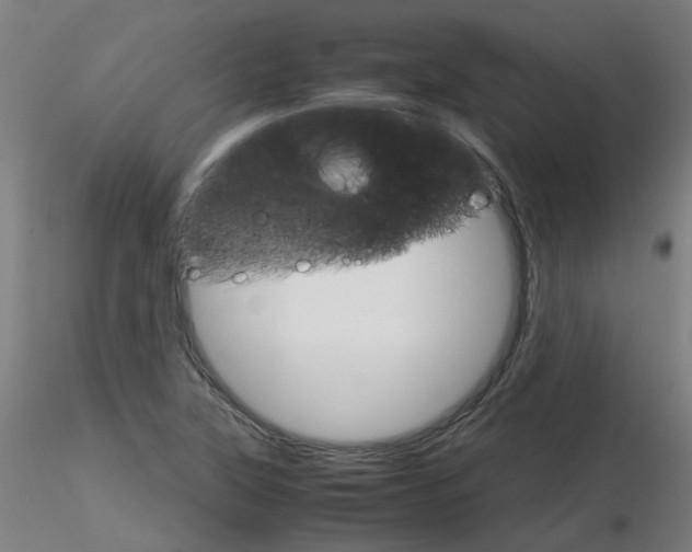 X0000116121315201001040942
